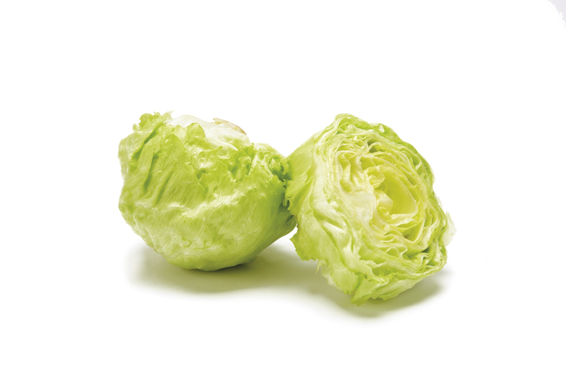 Bulk Buy Iceberg Lettuce Wholesale KFF